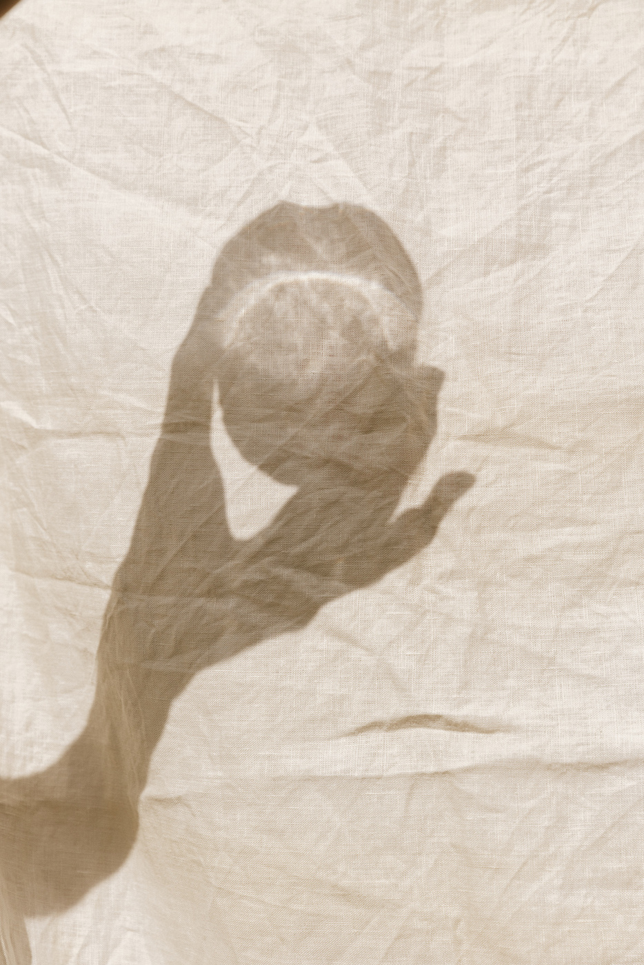Shadow of a Person's Hand Holding a Bottle